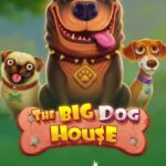 The Big Dog House